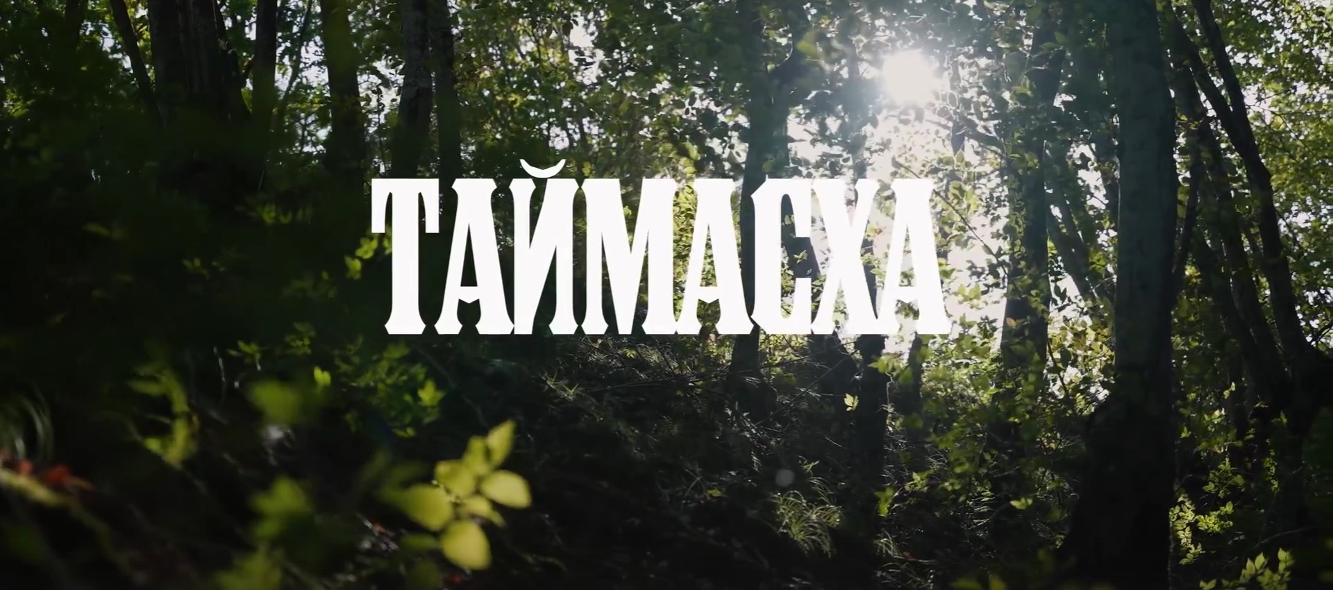 Представляем наш новый проект — ролик "Таймасха"